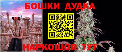 гидра Кунгур
