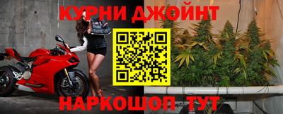 гидра Кунгур