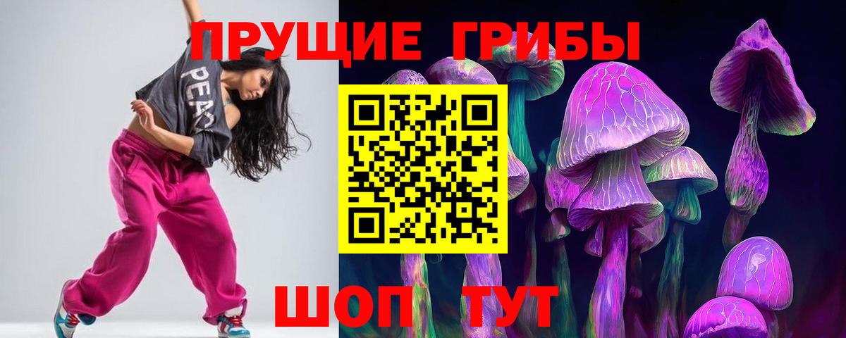 Псилоцибиновые грибы мухоморы Гурьевск